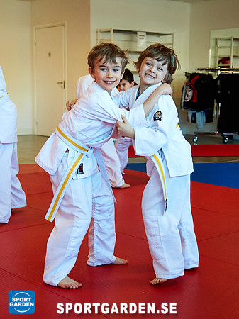 Judo Knattar 10.30-11.30 2017-03-11