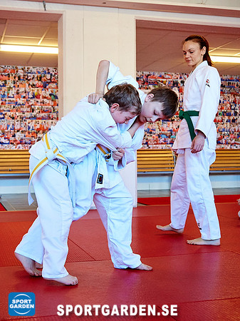 Judo Knattar 10.30-11.30 2017-03-11