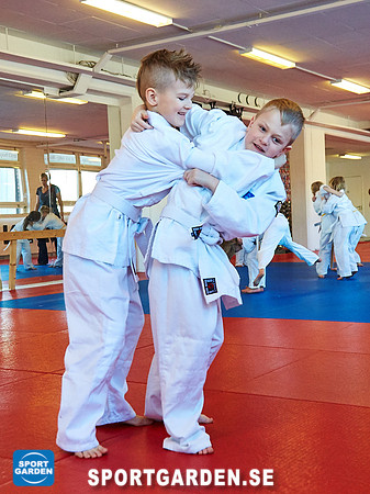 Judo Knattar 10.30-11.30 2017-03-11