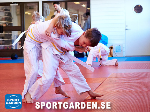 Judo Knattar 10.30-11.30 2017-03-11