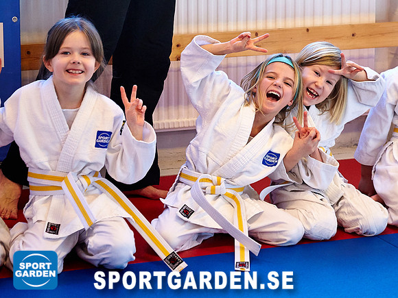 Judo Knattar 10.30-11.30 2017-03-11
