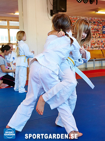 Judo Knattar 10.30-11.30 2017-03-11