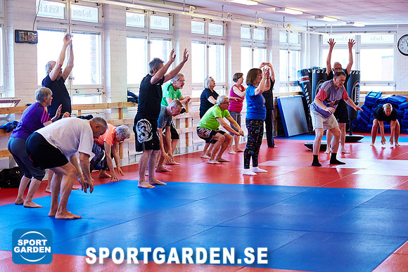 2016-05-03 Boxning Senior