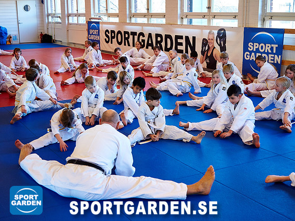 Judo Knattar 10.30-11.30 2017-03-11