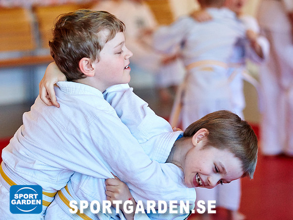 Judo Knattar 10.30-11.30 2017-03-11