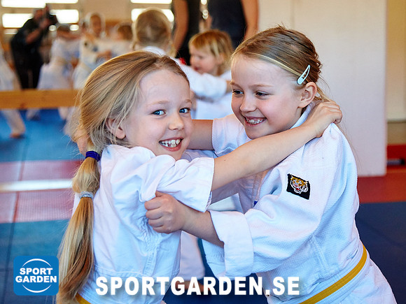 Judo Knattar 10.30-11.30 2017-03-11