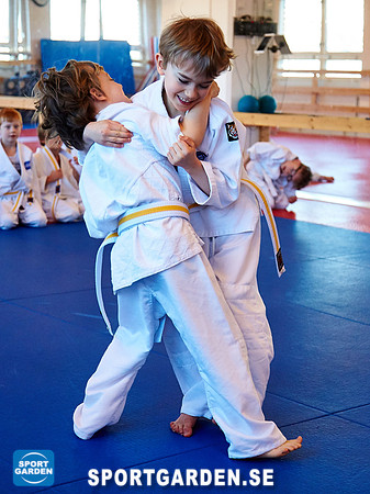 Judo Knattar 10.30-11.30 2017-03-11