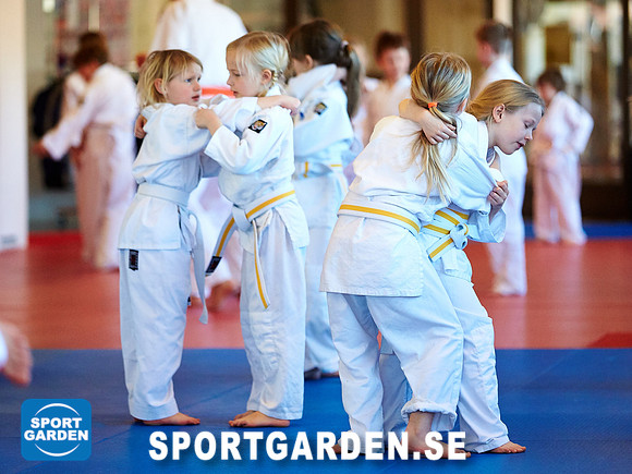 Judo Knattar 10.30-11.30 2017-03-11