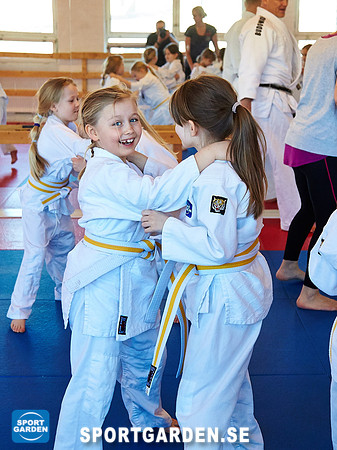 Judo Knattar 10.30-11.30 2017-03-11