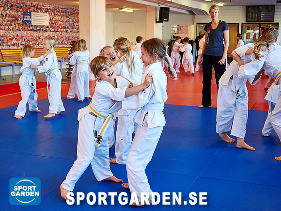 Judo Knattar 10.30-11.30 2017-03-11