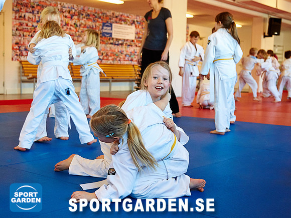 Judo Knattar 10.30-11.30 2017-03-11