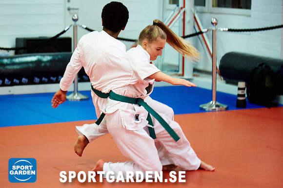 2016-10-13 Judo Ungdom