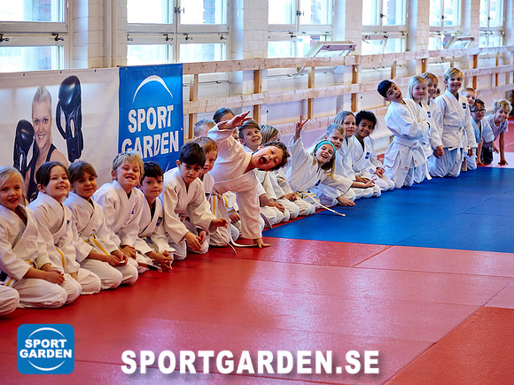 Judo Knattar 10.30-11.30 2017-03-11
