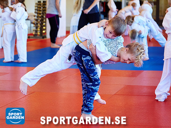 Judo Knattar 10.30-11.30 2017-03-11