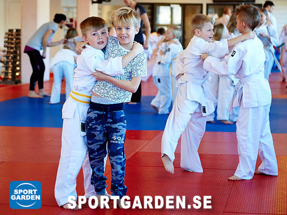 Judo Knattar 10.30-11.30 2017-03-11