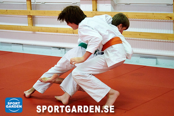 2016-10-13 Judo Ungdom