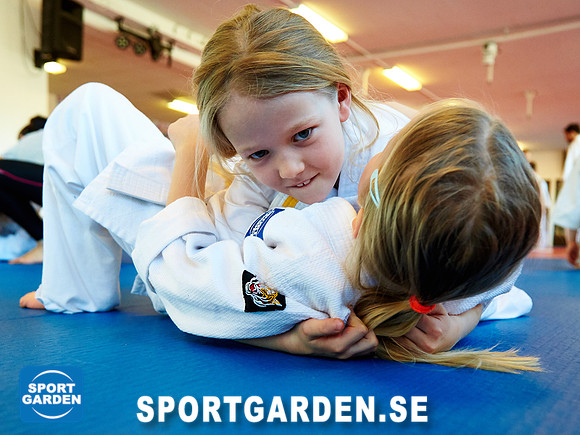 Judo Knattar 10.30-11.30 2017-03-11