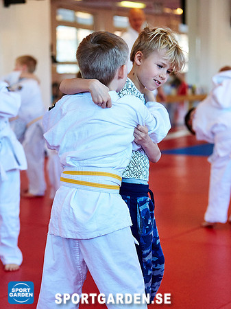 Judo Knattar 10.30-11.30 2017-03-11