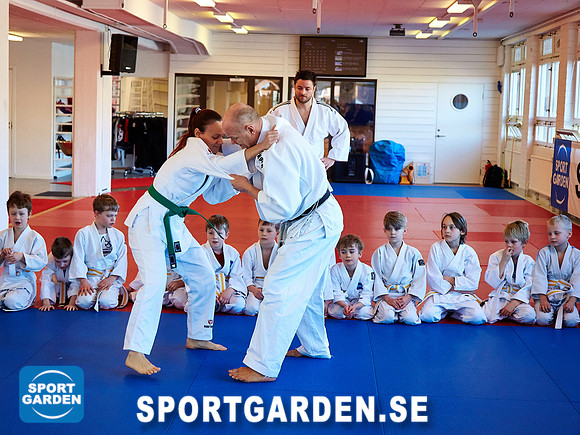 Judo Knattar 10.30-11.30 2017-03-11