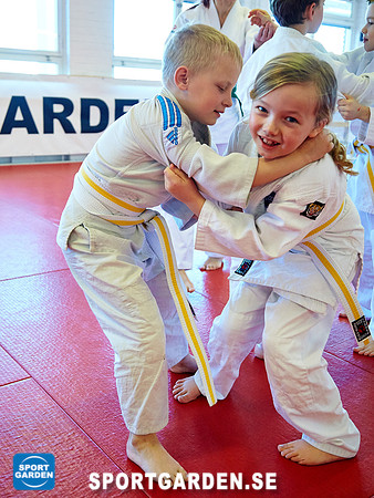 Judo Knattar 10.30-11.30 2017-03-11