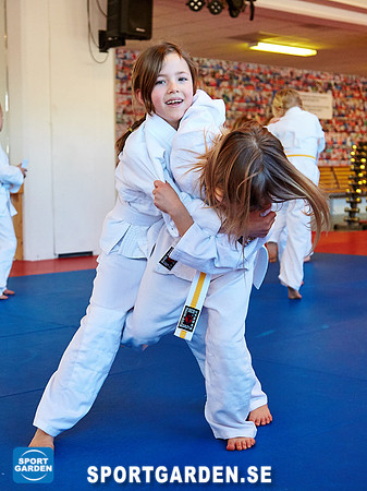 Judo Knattar 10.30-11.30 2017-03-11