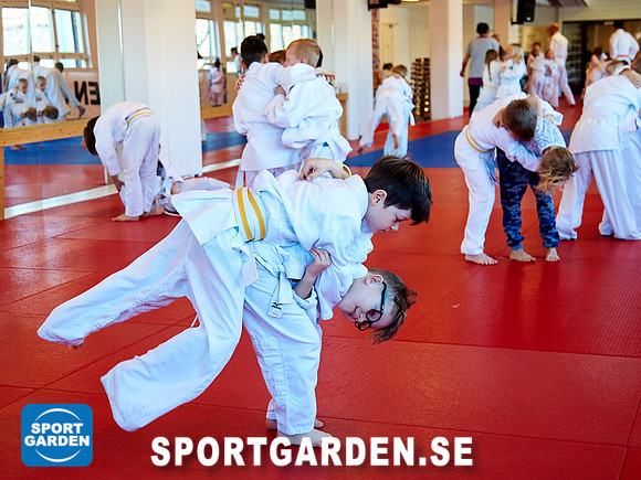 Judo Knattar 10.30-11.30 2017-03-11