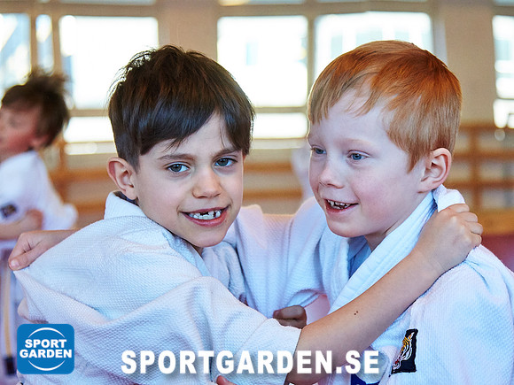 Judo Knattar 10.30-11.30 2017-03-11