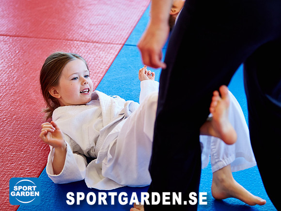 2016-04-23 Judo Stor och Liten 09.45-10.30
