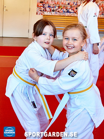 Judo Knattar 10.30-11.30 2017-03-11