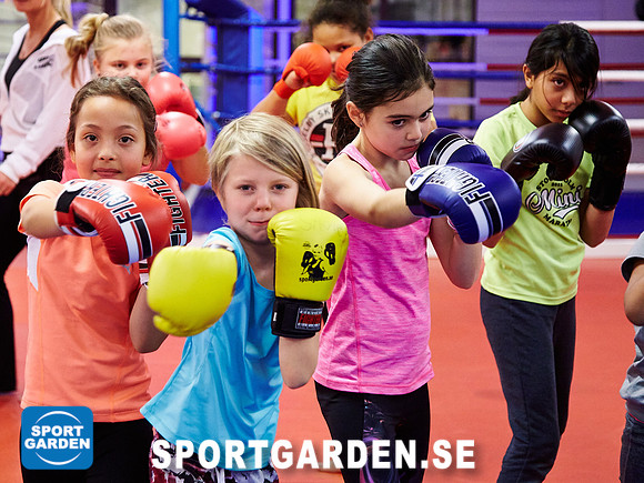 Kickboxning Barn 2017-11-07