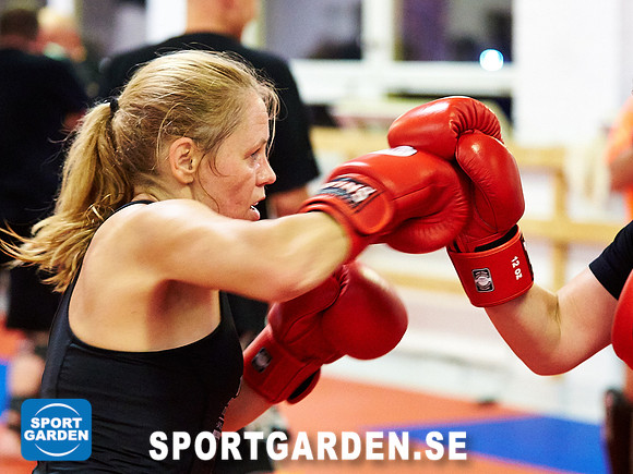 Kickboxning Vuxna 2017-09-26
