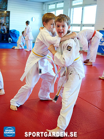 Judo Knattar 10.30-11.30 2017-03-11