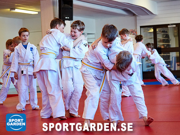 Judo Knattar 10.30-11.30 2017-03-11