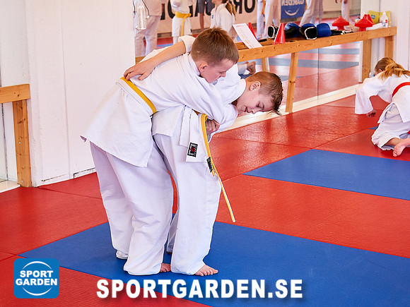 Judo Barn 2019-04-06