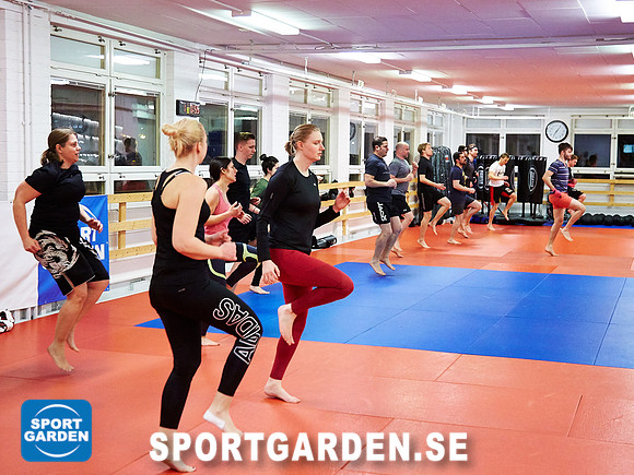 Kickboxning Vuxna 2017-02-03