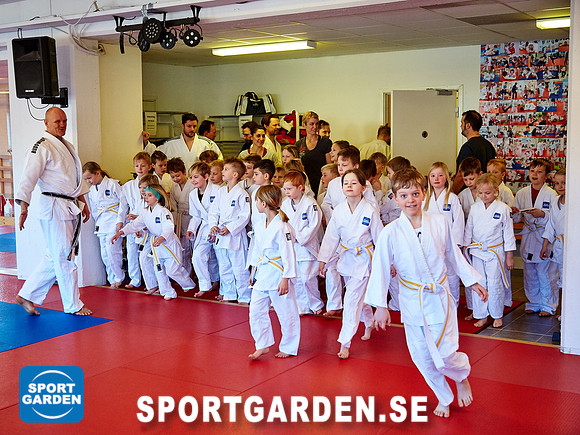 Judo Knattar 10.30-11.30 2017-03-11