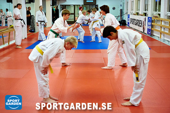 2016-10-13 Judo Ungdom