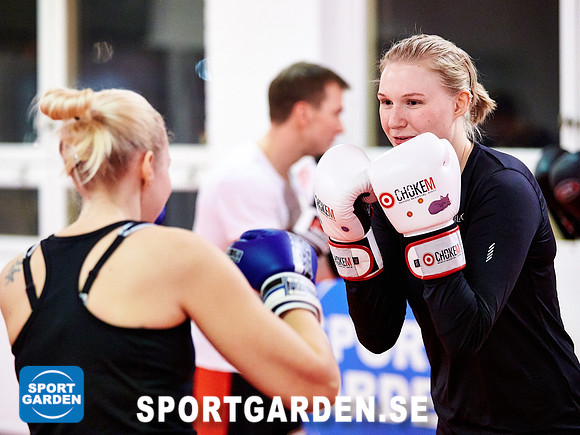 Kickboxning Vuxna 2017-02-03