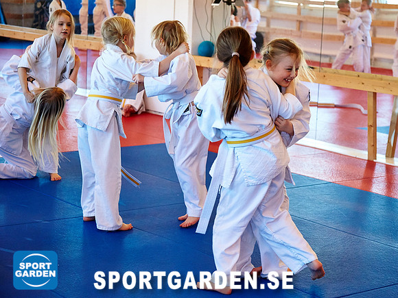 Judo Knattar 10.30-11.30 2017-03-11