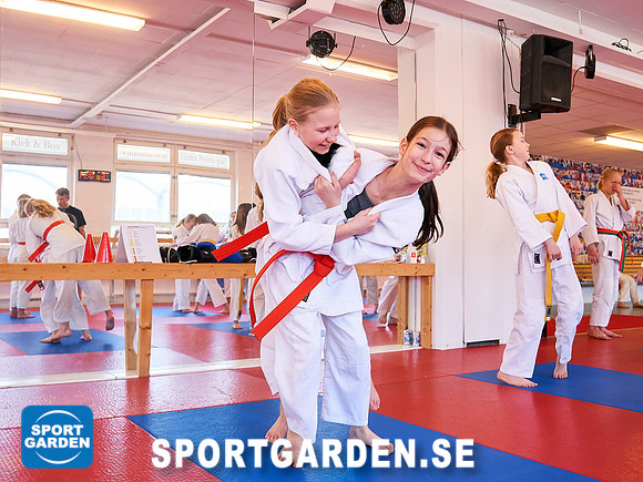 Judo Barn 2019-04-06