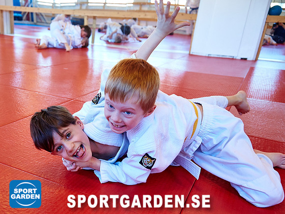 Judo Knattar 10.30-11.30 2017-03-11