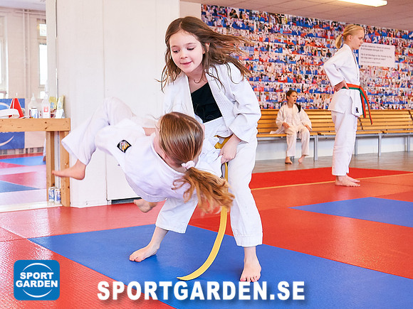Judo Barn 2019-04-06